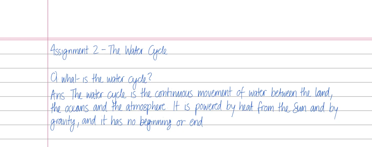 Assignments handwritten by Deepscribble on Single Line Long Book · A4 Pink Rule
